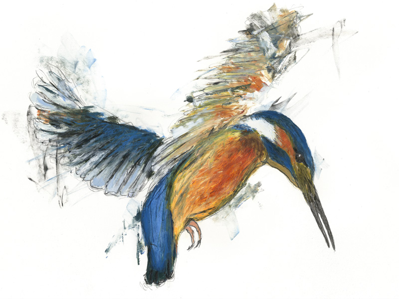' KINGFISHER 1 ' - WORKS IN COLOUR