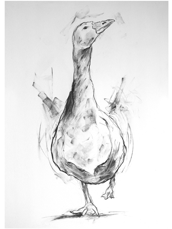 'goose watching' - available originals