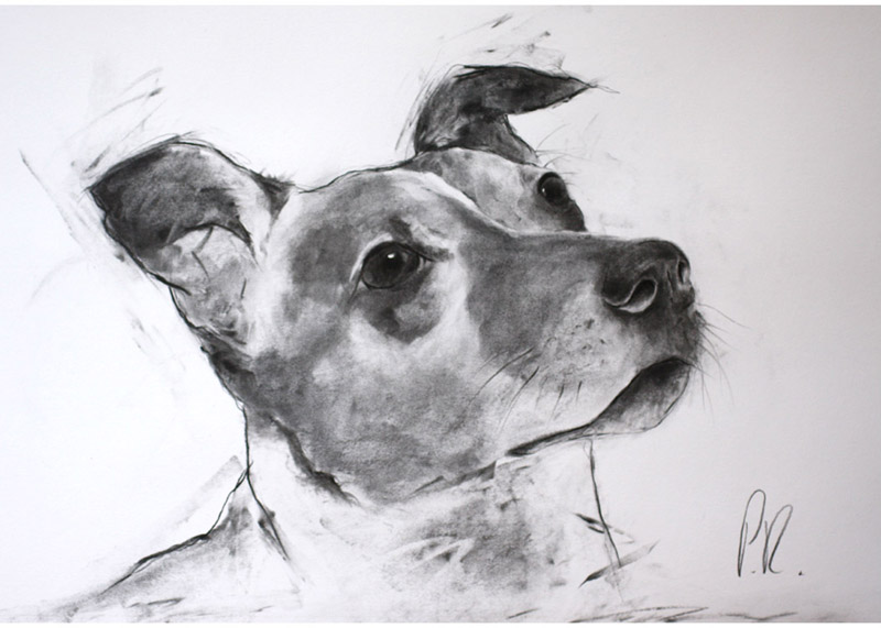 'billy' - portrait commissions