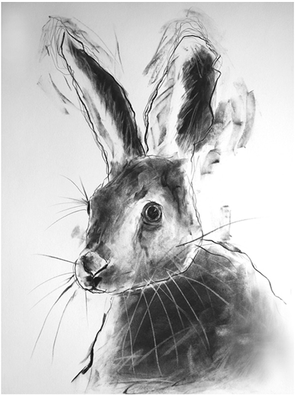 'hare study' - available originals