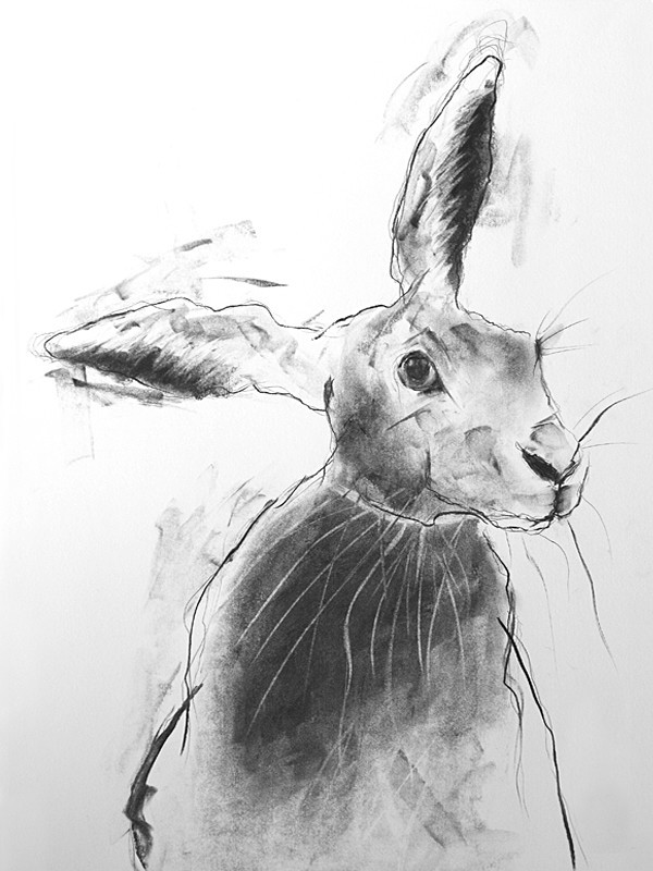 'HARE' - open edition prints