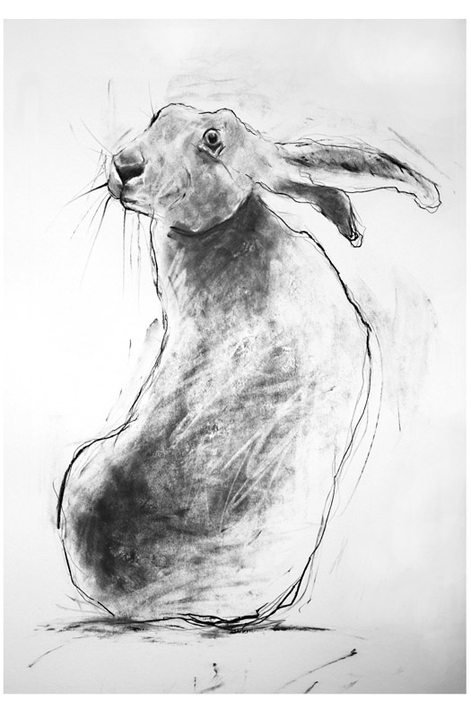 'hare turning' - available originals