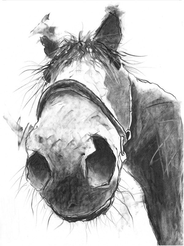 'NEW HORSE' - available originals