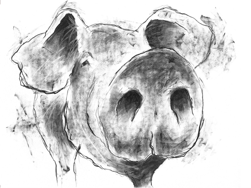 'arnold' - open edition prints