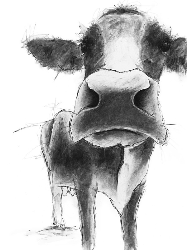 'DARCY' - open edition prints
