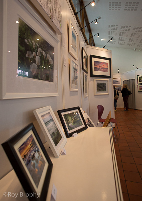 LightCatchers Aug 2014 - 011 - Hillier Gardens Exhibition Space