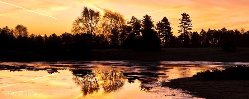 Landscape-009 - Landscape