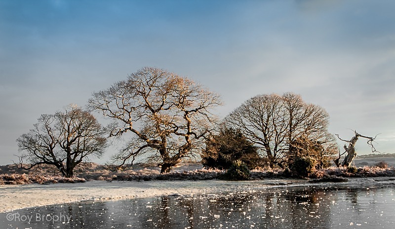 Landscape-018 - Landscape