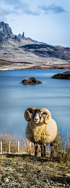 Scotland - 011 - Scotland