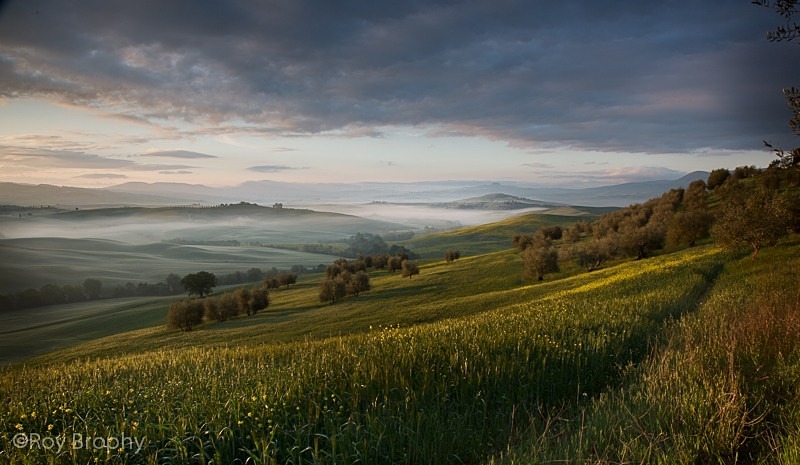 Landscape-066 - Landscape