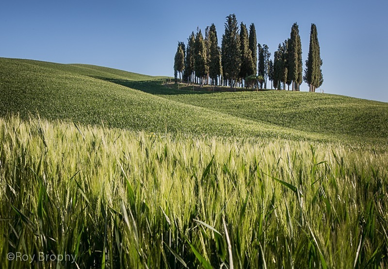 Landscape-060 - Landscape