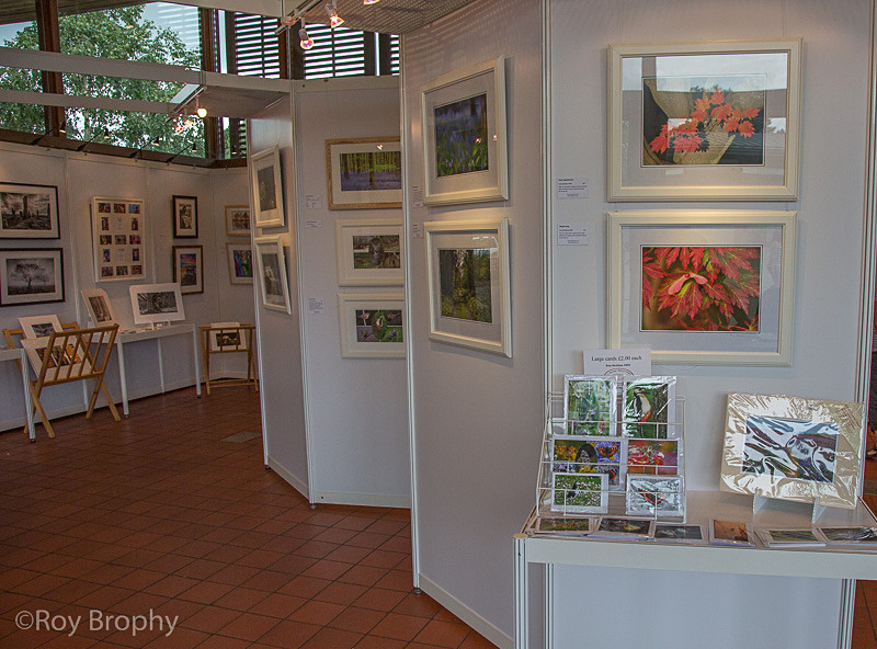 LightCatchers Aug 2014 - 005 - Hillier Gardens Exhibition Space