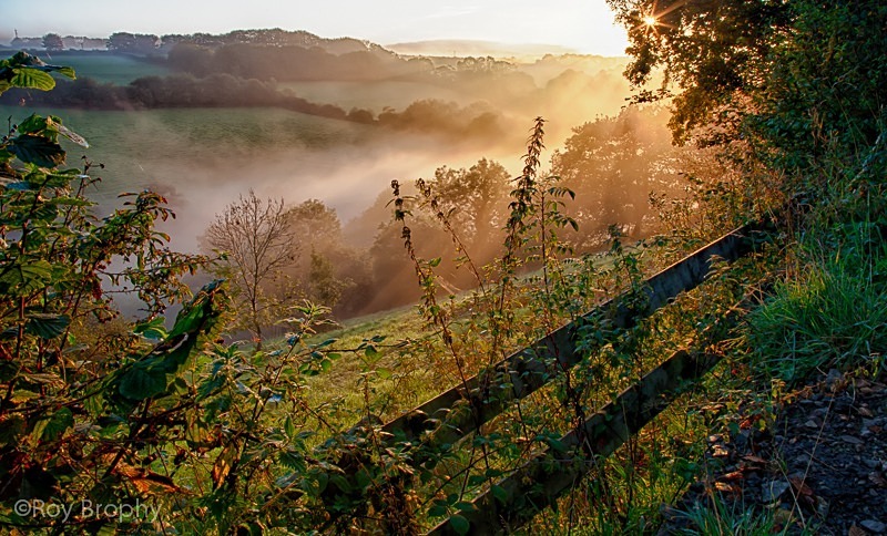 Landscape-042 - Landscape