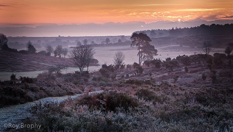 Landscape-016 - Landscape
