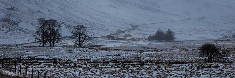Scotland - 017 - Scotland
