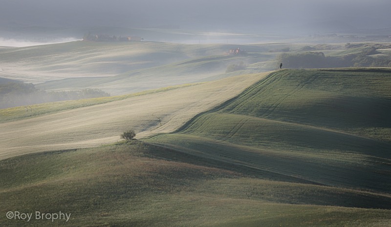Landscape-079 - Landscape
