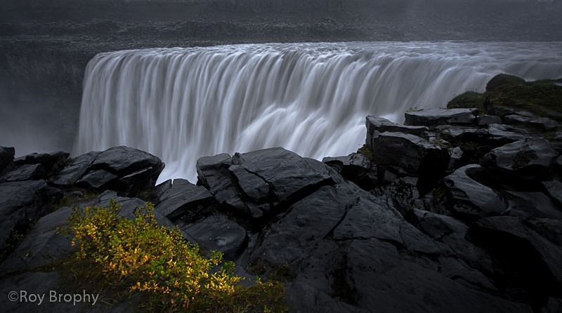 Landscape-005 - Landscape