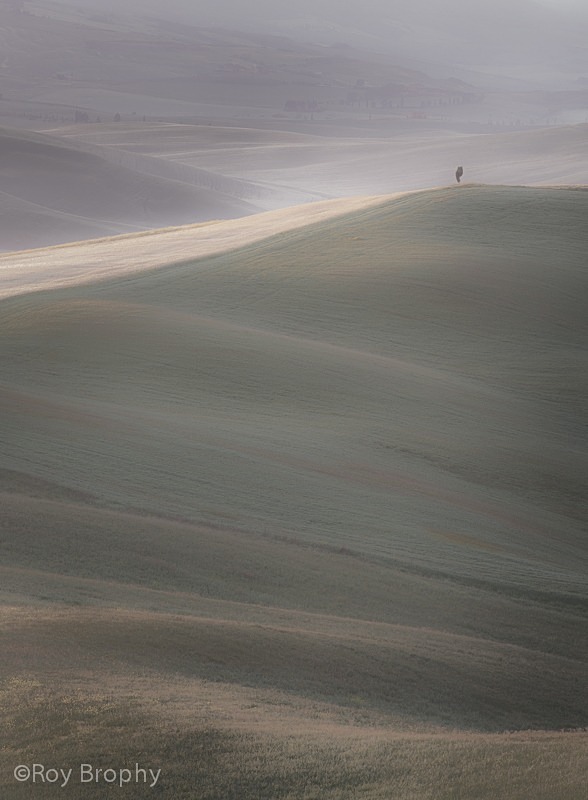 Landscape-078 - Landscape