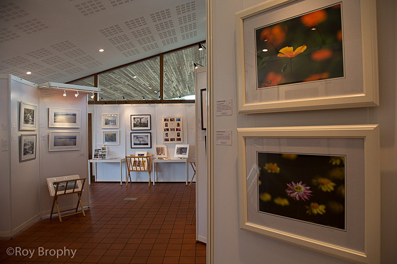 LightCatchers Aug 2014 - 001 - Hillier Gardens Exhibition Space