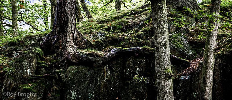Lake District 021 - Lake District Sep 2013