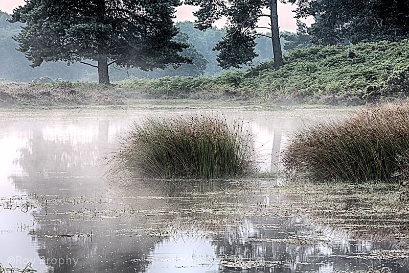 Landscape-082 - Landscape
