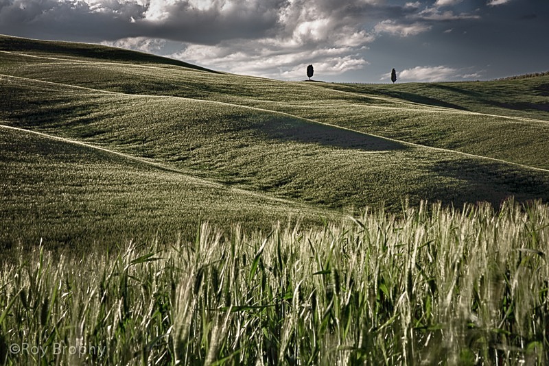 Landscape-061 - Landscape