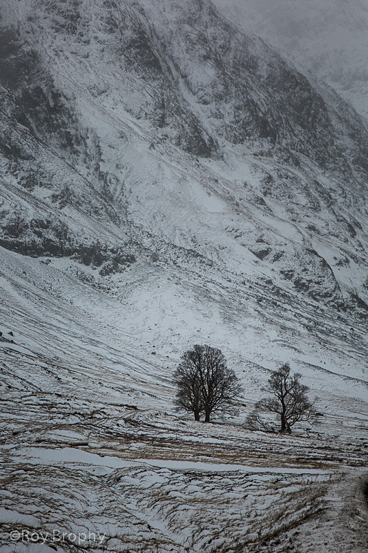 Scotland - 016 - Scotland