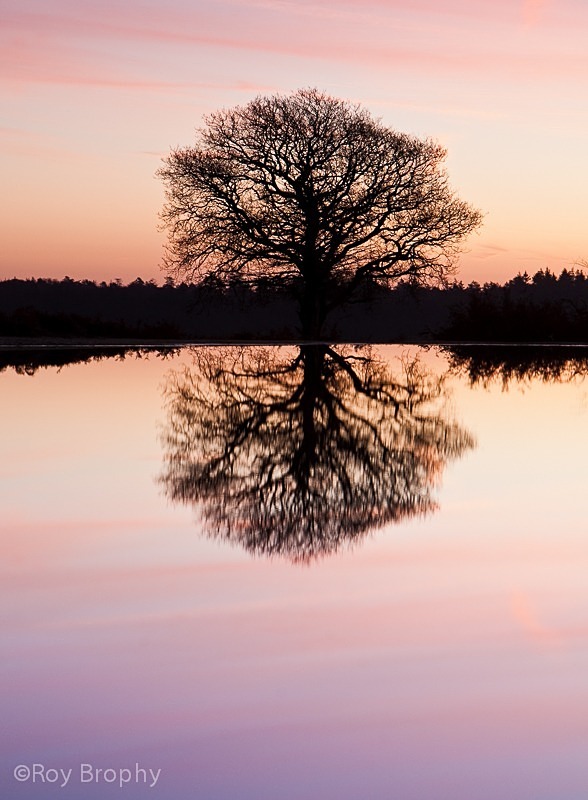 Landscape-008 - Landscape