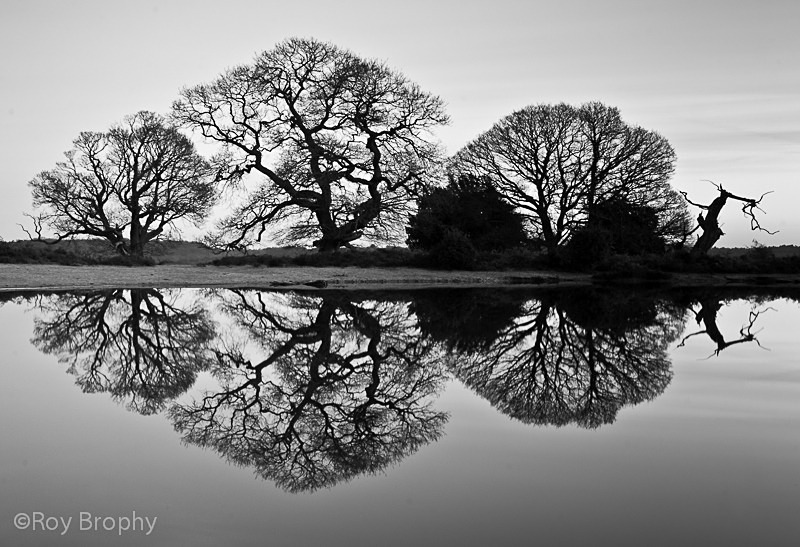 Landscape-006 - Landscape