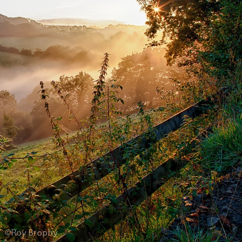 Landscape-043 - Landscape
