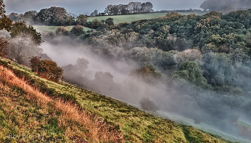 Landscape-041 - Landscape