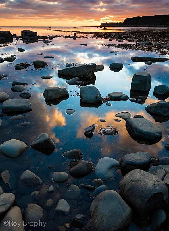 Landscape-046 - Landscape