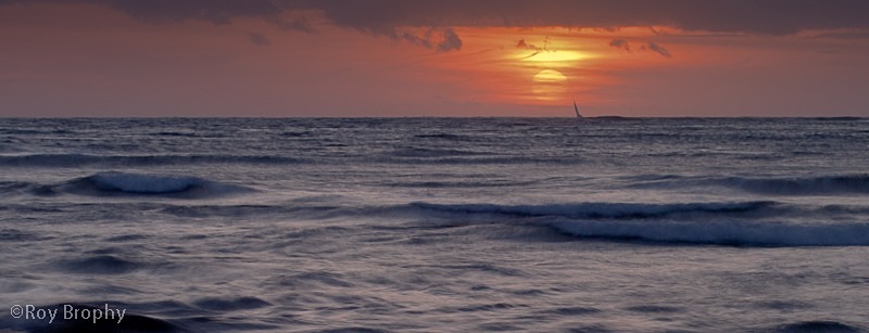 Landscape-056 - Landscape
