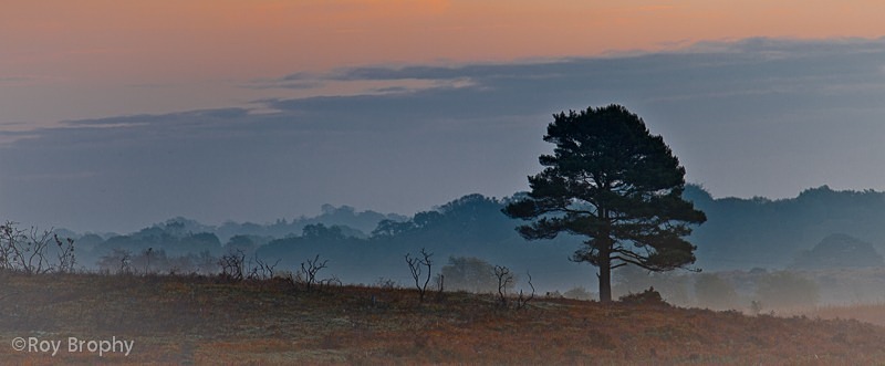 Landscape-050 - Landscape