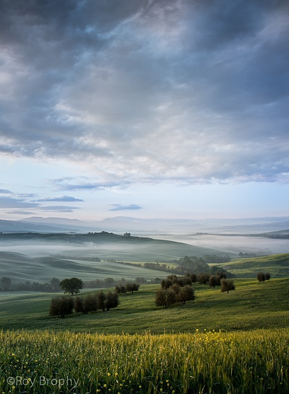 Landscape-065 - Landscape