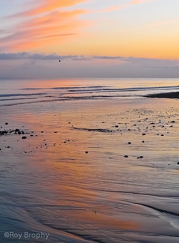 Landscape-019 - Landscape