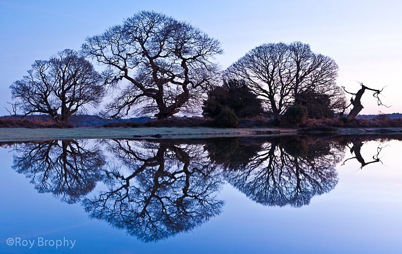 Landscape-007 - Landscape