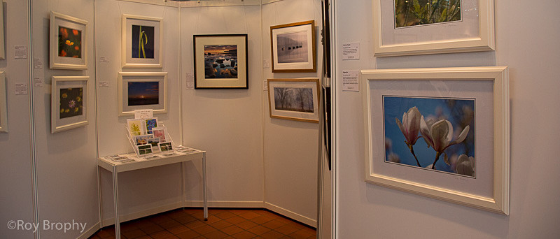 LightCatchers Aug 2014 - 007 - Hillier Gardens Exhibition Space