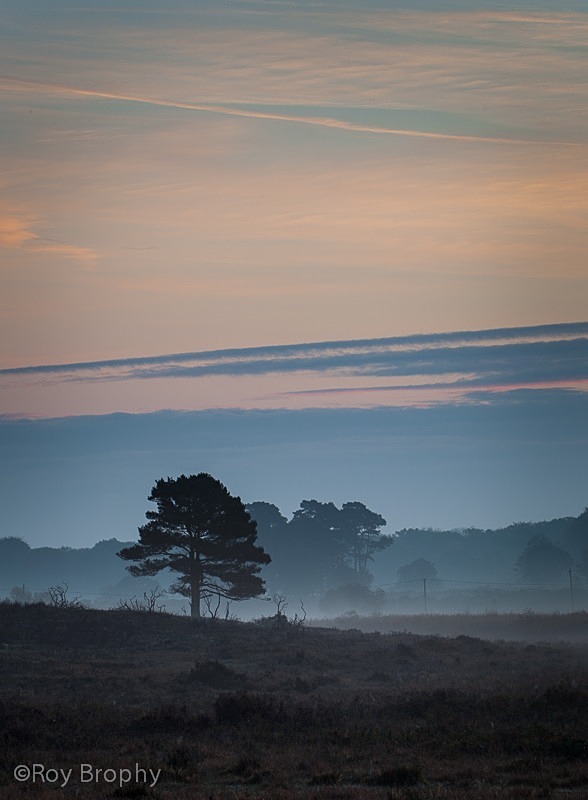 Landscape-049 - Landscape