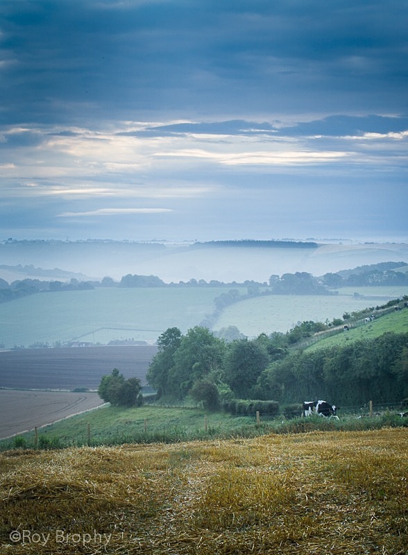 Landscape-038 - Landscape