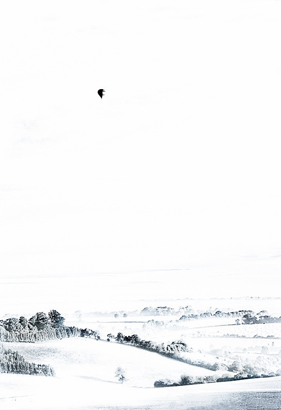 Landscape-040 - Landscape