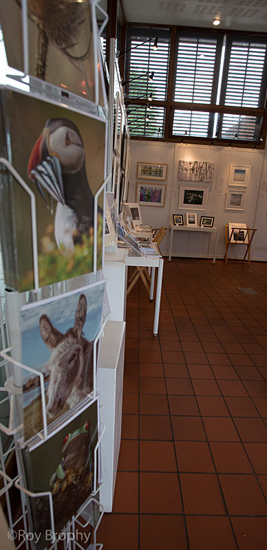 LightCatchers Aug 2014 - 013 - Hillier Gardens Exhibition Space