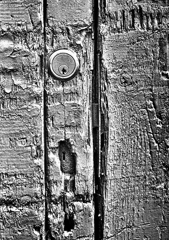 Still Life-009 - Still Life