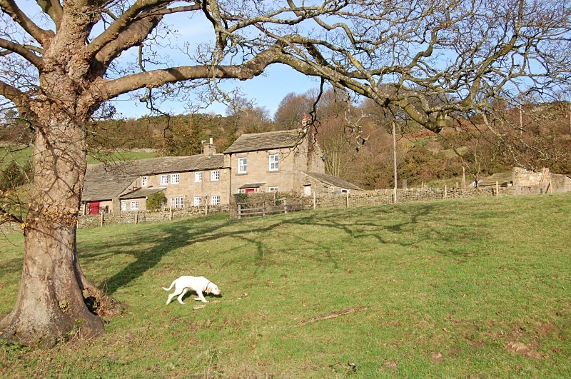 - Sparrowhawk Farm