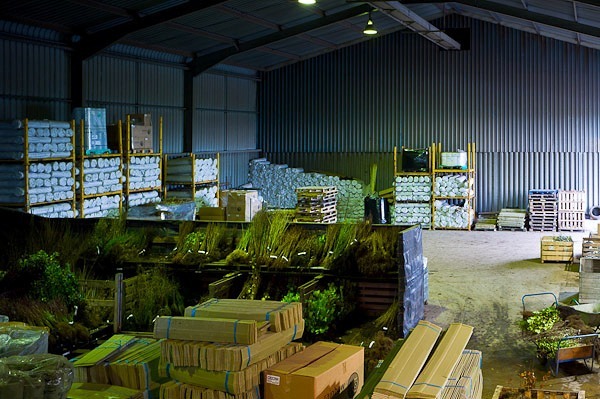 Warehouse - Nursery