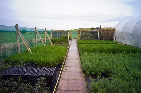 Nursery - Nursery