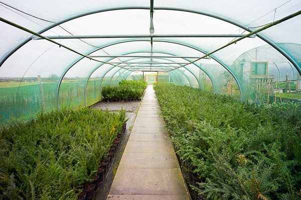 Nursery 2 - Nursery