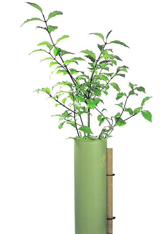 'Tubex' Shrub shelter - Sundries