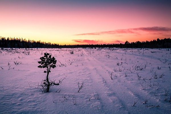 Arctic Landscape - Landscapes