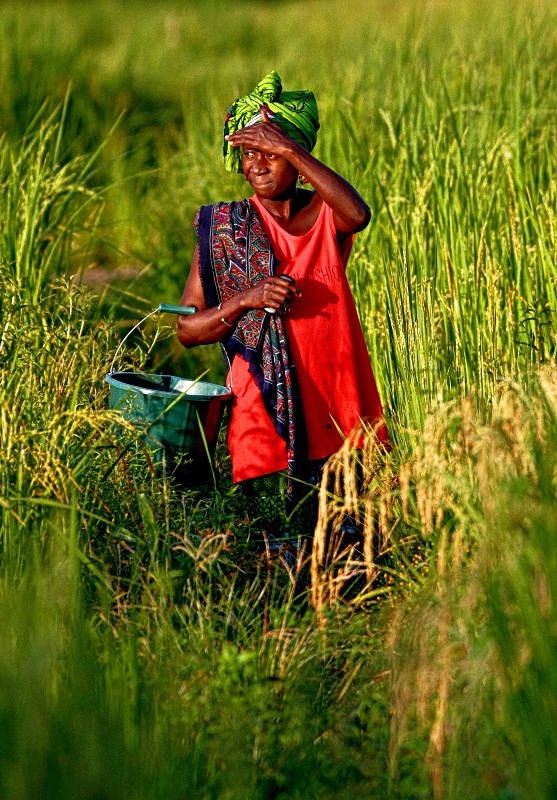  - Gambia People